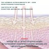 Микротоковый Массажер Для Лица RF Лифтинг + LED Терапия и Технологии EMS Для Омоложения и Подтяжки Кожи OKACHI GLIYA OG-5623
