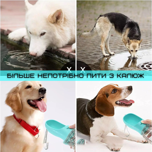 Поилка Для Собак Портативная Прогулочная Бутылочка Питьевая 350 мл Мятная Zmaker