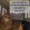 Переноска Контейнер Для Котів та Собак 50*31*34 см Для Авіа Перельотів та Транспортування Тварин до 9 кг з Металевими Кріпленнями та Дверима + Замок Navy