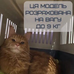 Переноска Контейнер Для Котів та Собак 50*31*34 см Для Авіа Перельотів та Транспортування Тварин до 9 кг з Металевими Кріпленнями та Дверима + Замок Navy