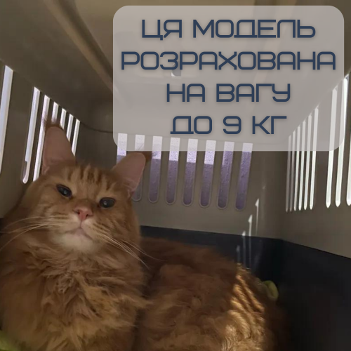 Переноска Контейнер Для Кошек и Собак 50*31*34 см Для Авиа Перелётов и Транспортировки Животных до 9 кг с Металлическими Креплениями и Дверью + Замок Navy Treaxy