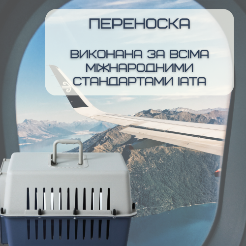  Контейнер Для Авиа Перевозок Животных 50*31*34 см Переноска Для Кошек и Собак с Металлическими Креплениями и Дверью + Замок до 9 кг Gray Treaxy