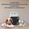  Контейнер Для Авиа Перевозок Животных 50*31*34 см Переноска Для Кошек и Собак с Металлическими Креплениями и Дверью + Замок до 9 кг Gray