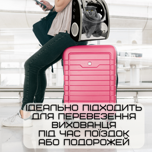 Воздухопроницаемая Сумка-Переноска Для Кошек и Маленьких Собак Рюкзак с Прозрачными Стенками Для Животных До 7 кг Черный Zmaker