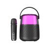 Портативная Мини Караоке Система Для Дома Блютуз Колонка с LED Подсветкой и Функцией Смены Голоса Y1 Чёрная