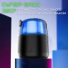 Портативная Мини Караоке Система Для Дома Блютуз Колонка с LED Подсветкой и Функцией Смены Голоса Y1 Чёрная