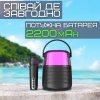 Портативная Мини Караоке Система Для Дома Блютуз Колонка с LED Подсветкой и Функцией Смены Голоса Y1 Чёрная