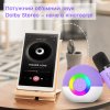 Беспроводная Мини Караоке Система T97 Переносная Портативная Bluetooth Колонка на 2 Микрофона + Функция Смены Голоса + LED Подсветка Фиолетовая