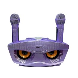 Портативная Беспроводная Акустическая Система с Двумя Микрофонами SDRD + Музыкальная Bluetooth Караоке Станция SD306S SDRD