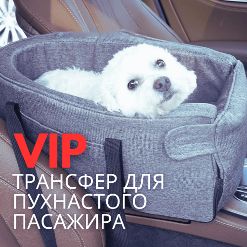 Автомобільне Крісло для Собак і Котів до 6,5 кг в Машину на Підлокітник — Автокрісло-Переноска з Ручками 3в1 в Дорогу з Тваринами Темно Сіре NewPet