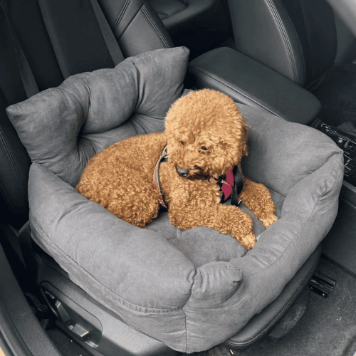 Автомобильное Кресло-переноска для Собак и Кошек NEWPET 2в1 — Премиум Лежанка в Машину с Прочной Фиксацией Ремнями, Страховочным Карабином и Мягкой Ортопедической Подушкой для Мелких и Средних Пород Собак NewPet