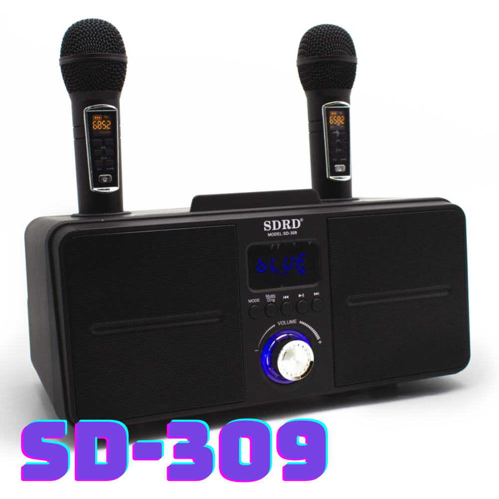 Караоке для дому SDRD SD-309